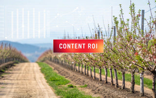 ROI of Content Marketing: Your Step-by-Step Success Guide