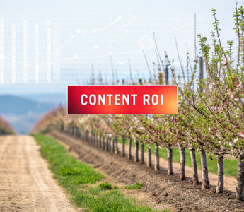 ROI of Content Marketing: Your Step-by-Step Success Guide
