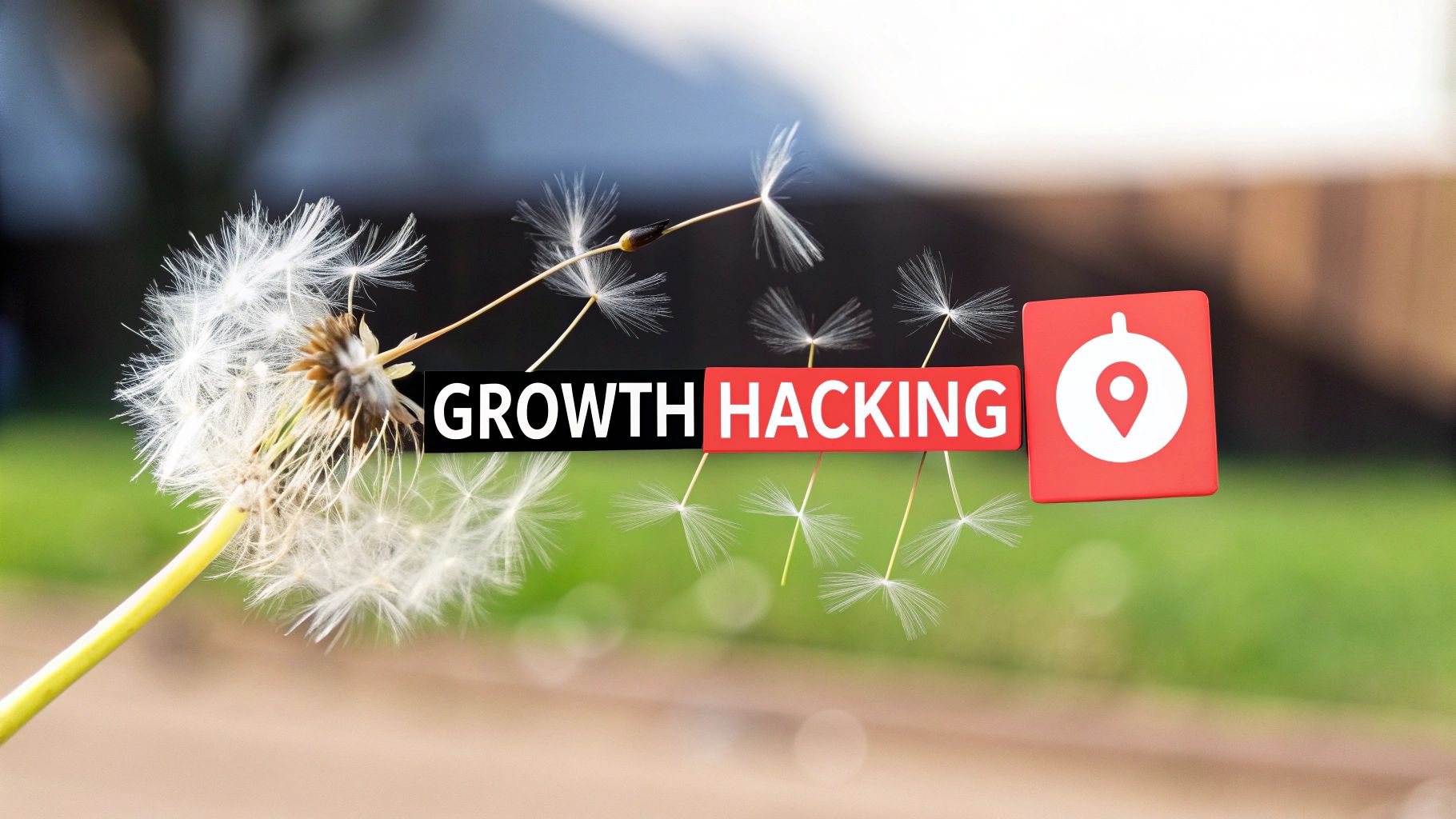 Illustration for What Is Growth Hacking A Creator's Guide to Rapid Growth
